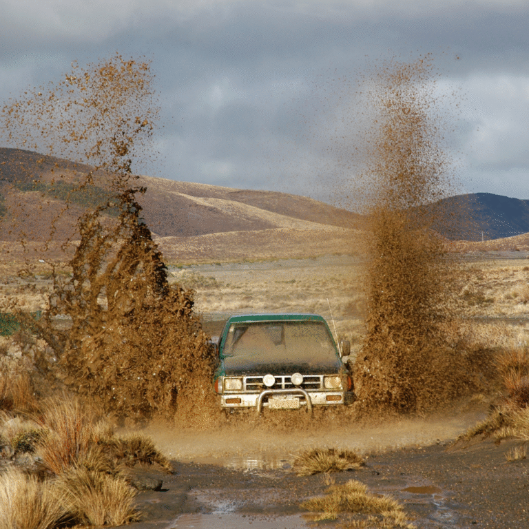 What Is a Throttle Controller & Do You Really Need One