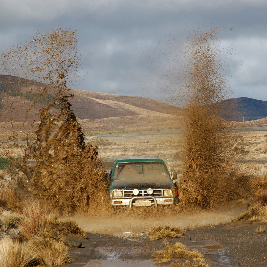 What Is a Throttle Controller & Do You Really Need One